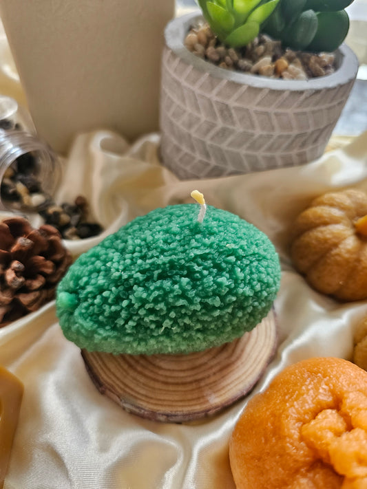 Avocado beeswax candle 🥑