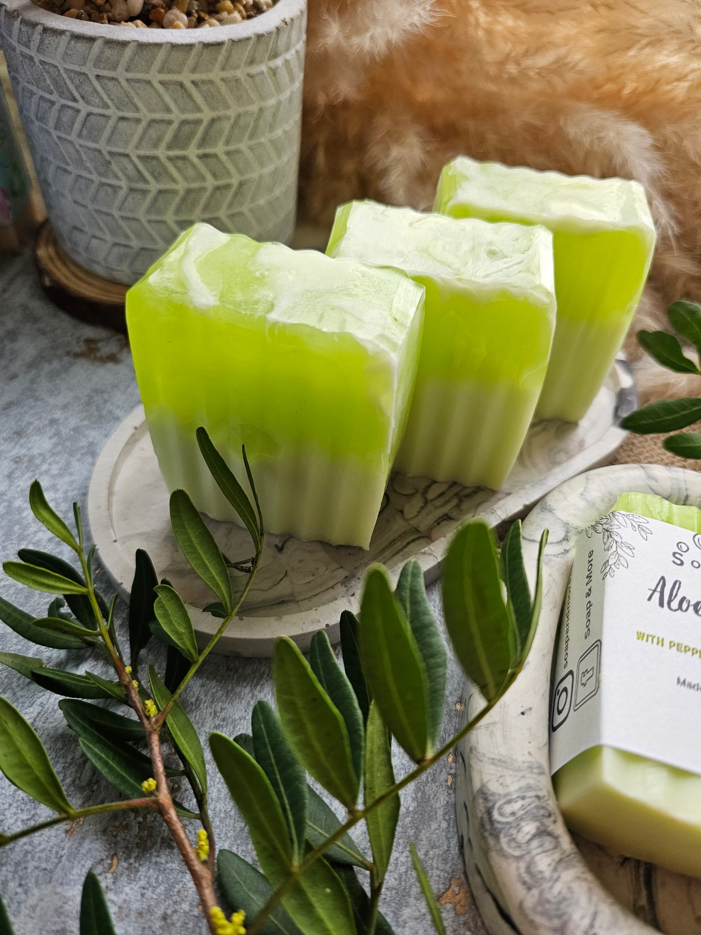 Aloe Vera Soap with Peppermint & Eucalyptus