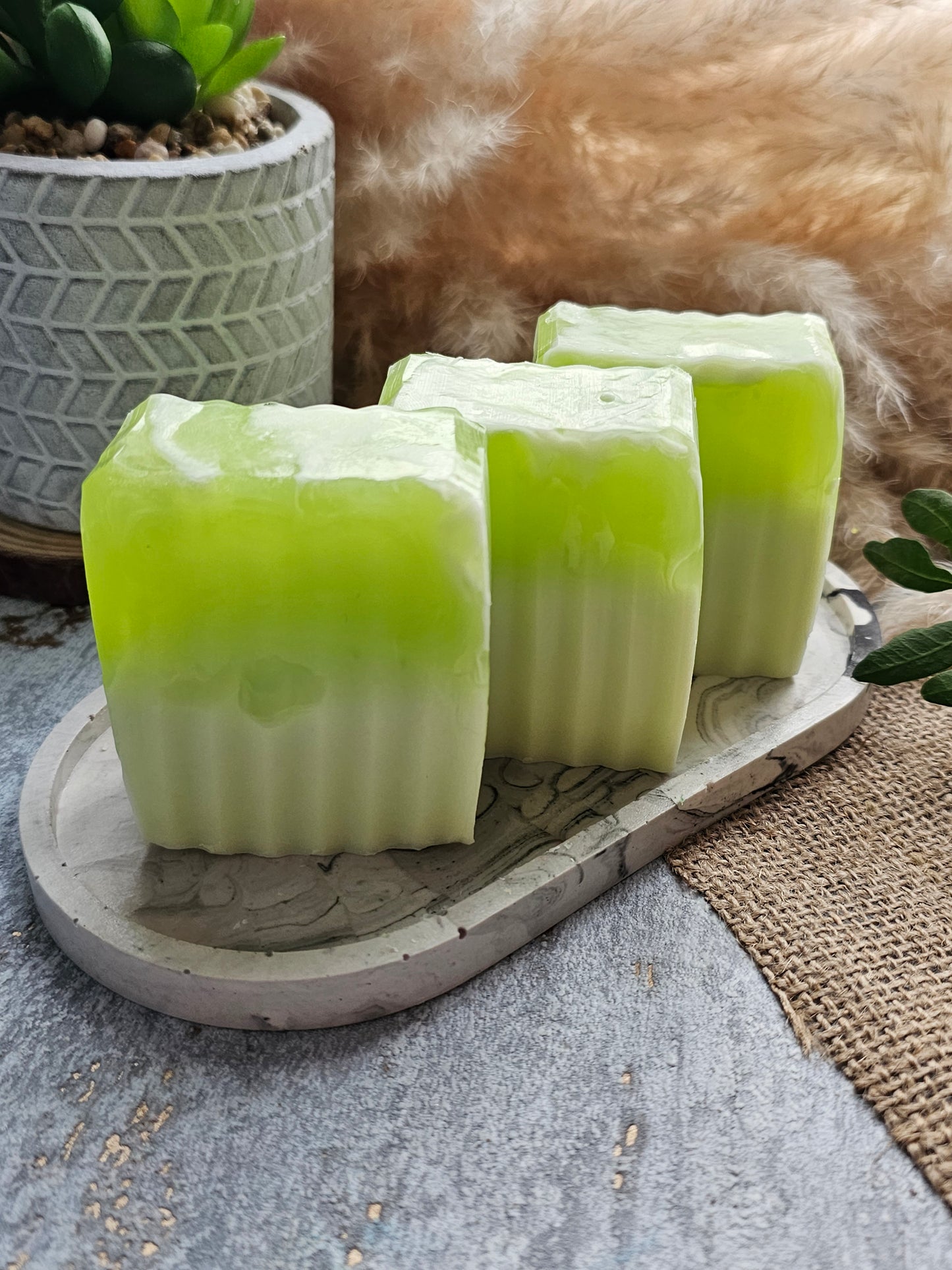 Aloe Vera Soap with Peppermint & Eucalyptus