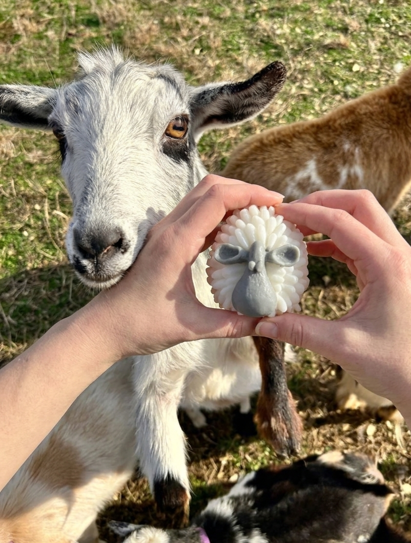 Fresh Sheep Soap