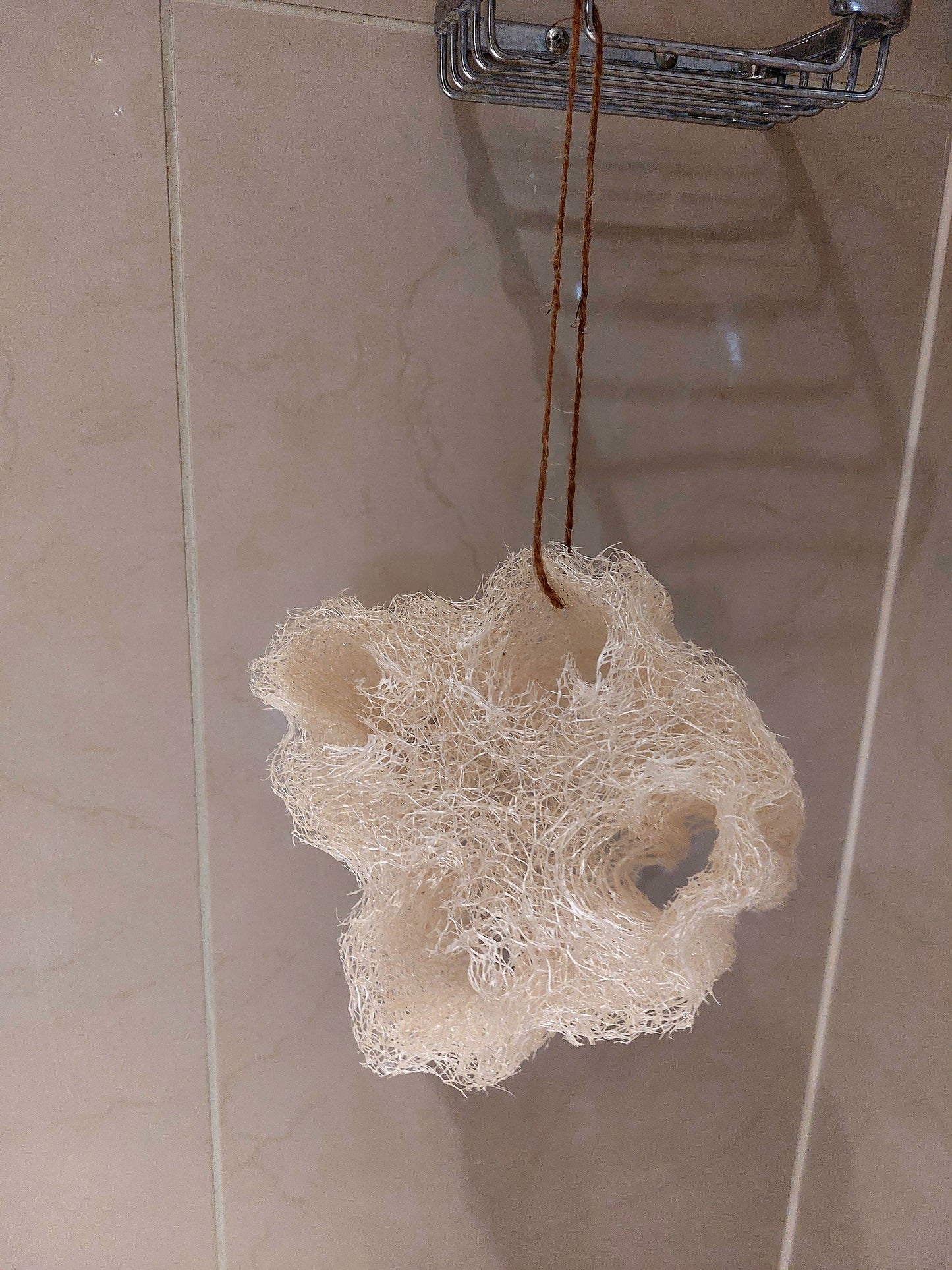 Natural Loofah (plastic free)